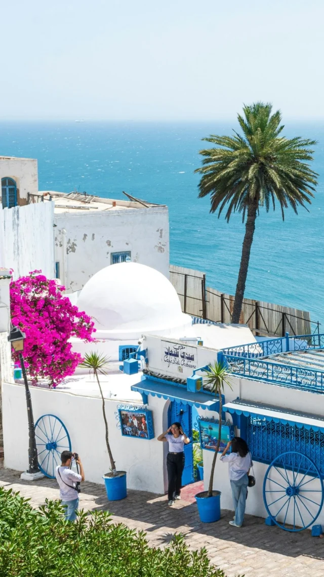 Discover Tunisia like never before! Save this reel for all the experiences you didn’t know you needed and discover the destination like a local. 🤗

—

¡Descubre Túnez como nunca antes!  Guarda este reel para tener a mano todas las experiencias que sabías que necesitabas y explora este destino como un local. 🤗

#tunisia #tunisie #tunez #holiday #getaway #travel #travelgram #traveldesign #traveltips #likealocal #tourism
